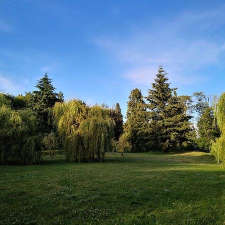 Entire Forest Home Near Nature & Amenities سوري المظهر الخارجي الصورة