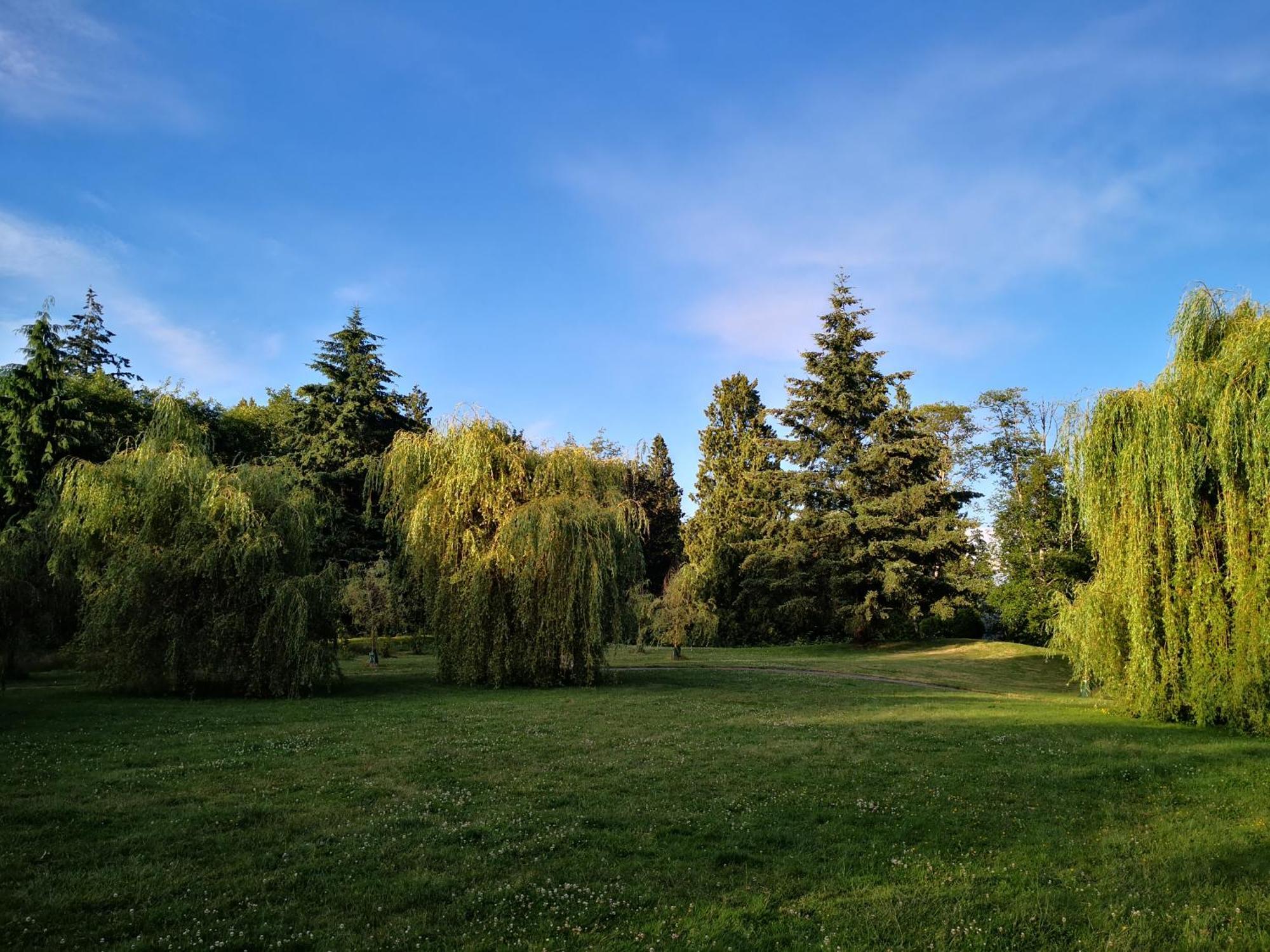 Entire Forest Home Near Nature & Amenities سوري المظهر الخارجي الصورة